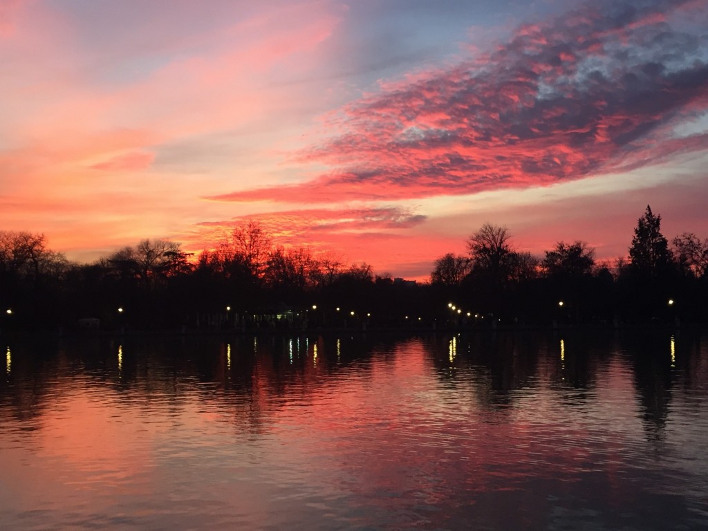 Foto: atardecer - Madrid (Comunidad de Madrid), España
