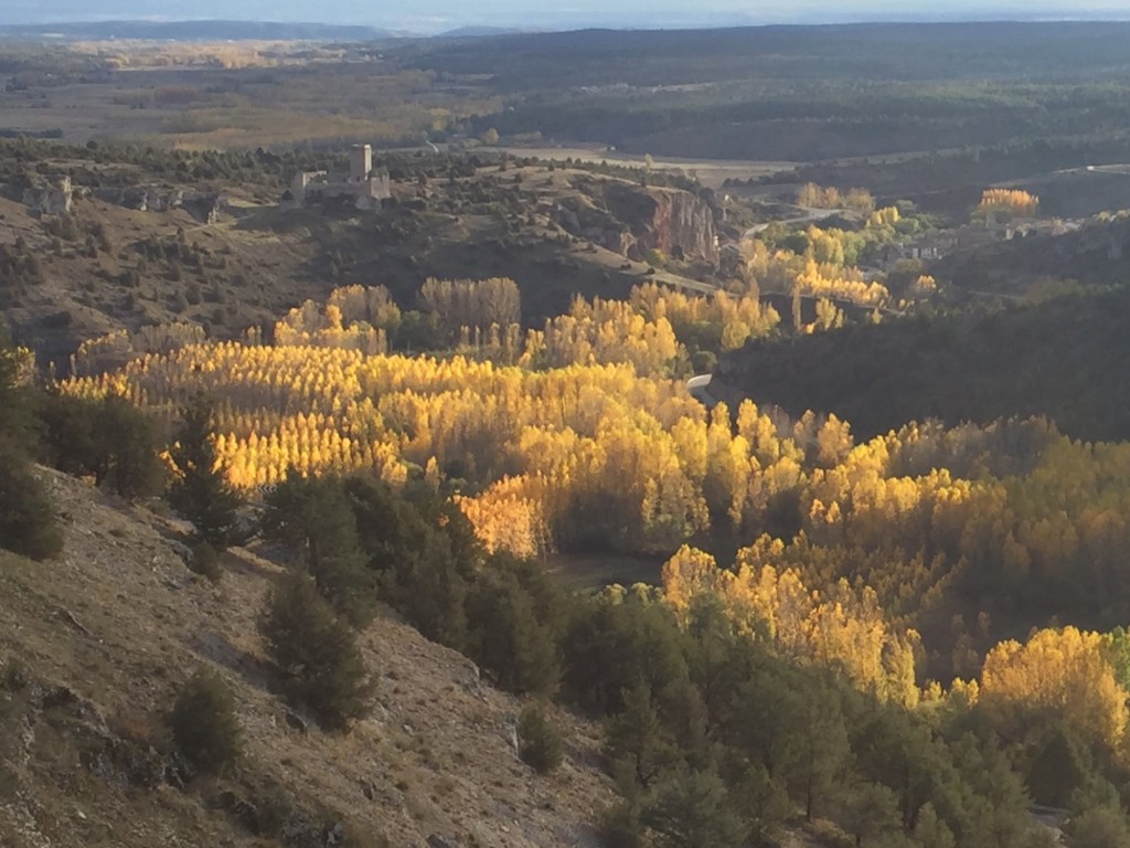 Foto: otoño - Cañón Rio Lobos (Soria), España