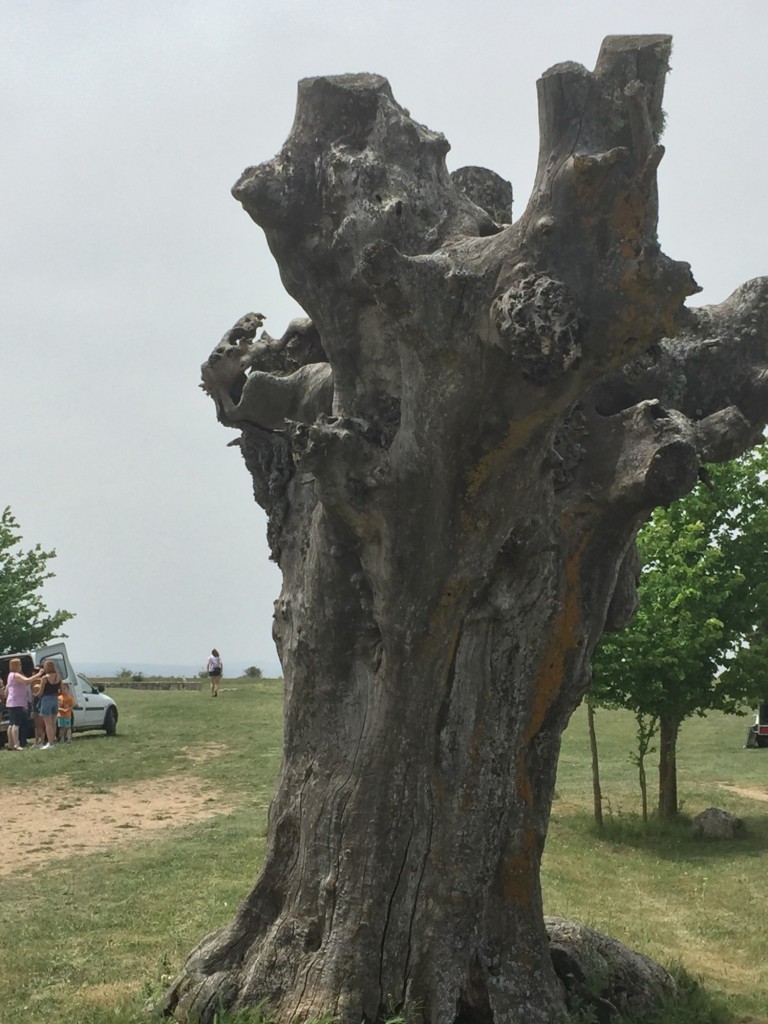 Foto de Peñalba de Castro (Burgos), España