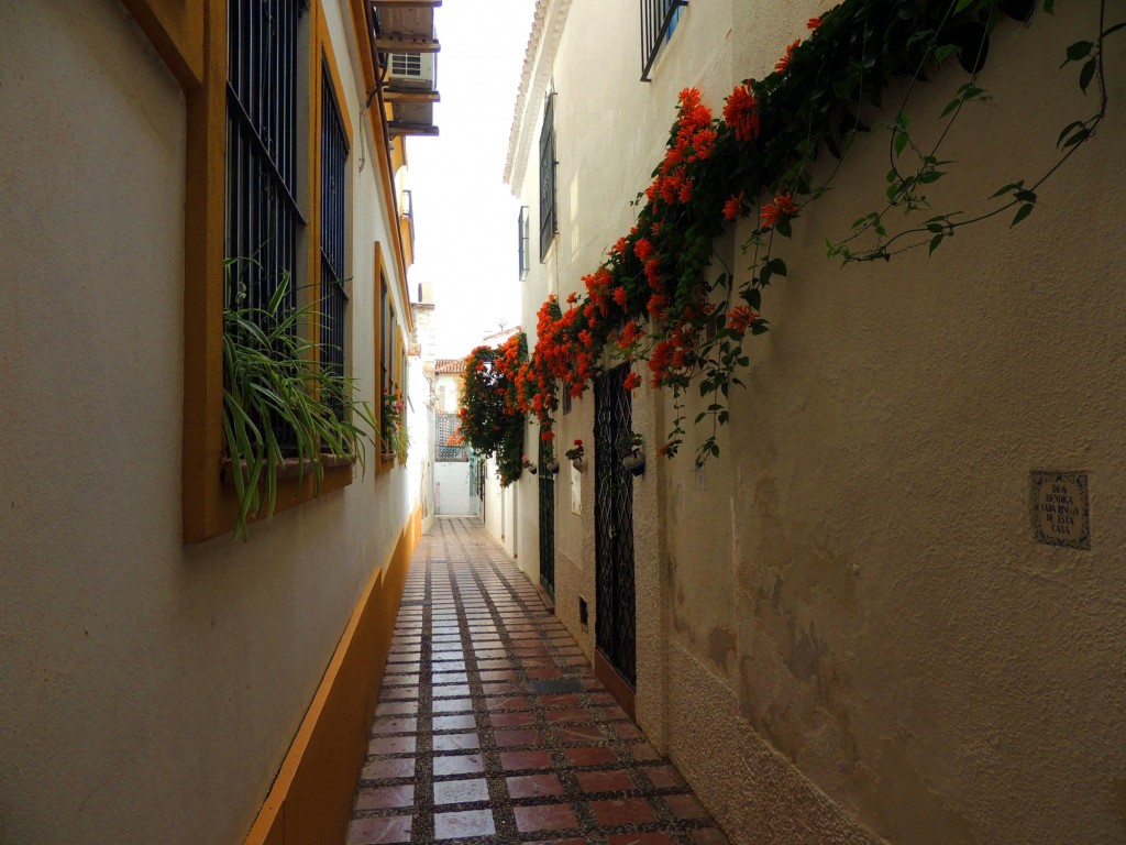 Foto: Calle Viento - Marbella (Málaga), España