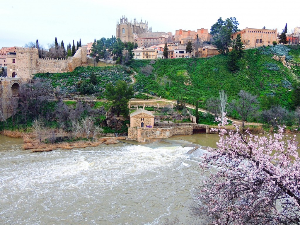 Foto de Toledo (Castilla La Mancha), España