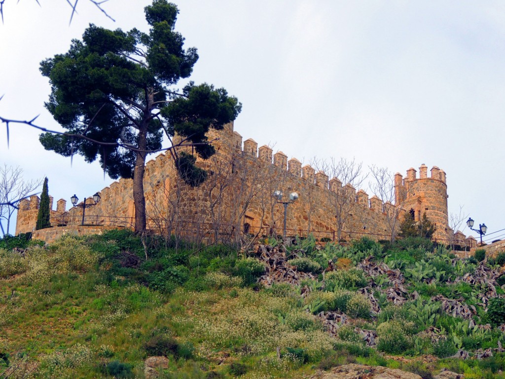 Foto de Toledo (Castilla La Mancha), España