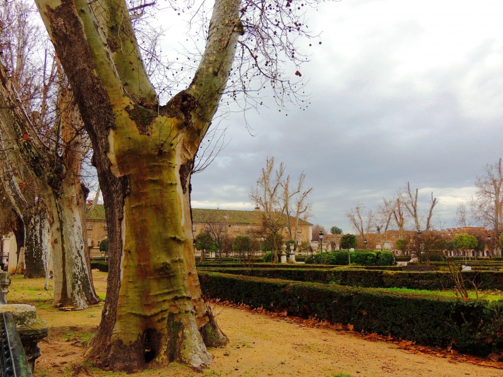 Foto de Aranjuez (Madrid), España