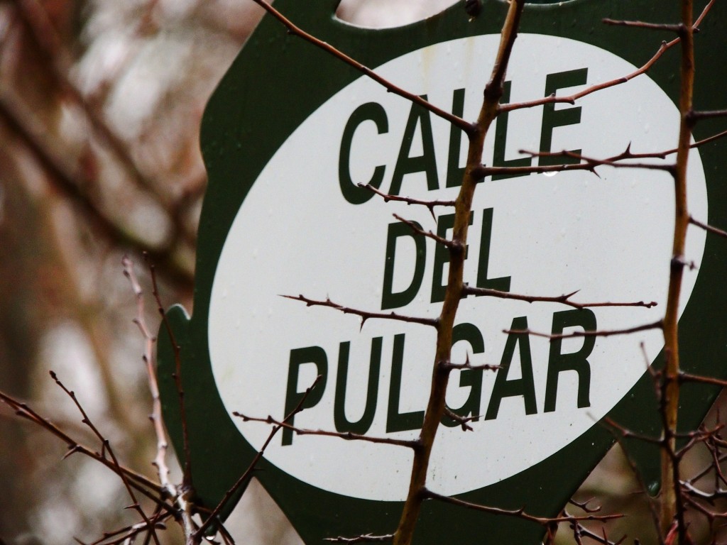 Foto de Aranjuez (Madrid), España