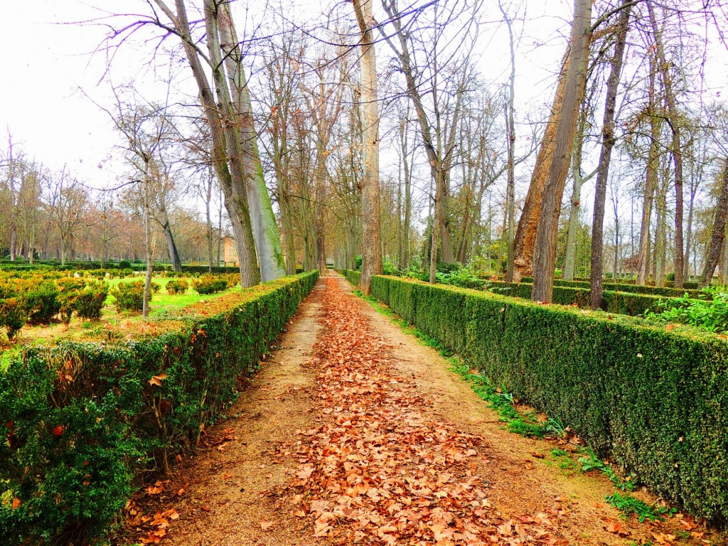 Foto de Aranjuez (Madrid), España
