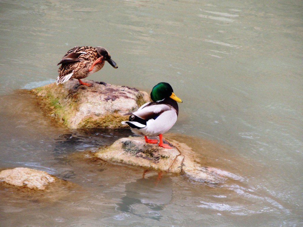 Foto de Aranjuez (Madrid), España