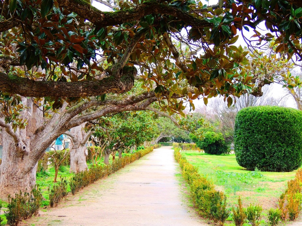 Foto de Aranjuez (Madrid), España