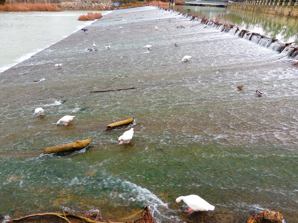Foto de Aranjuez (Madrid), España