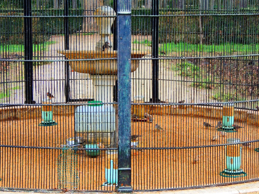 Foto de Aranjuez (Madrid), España