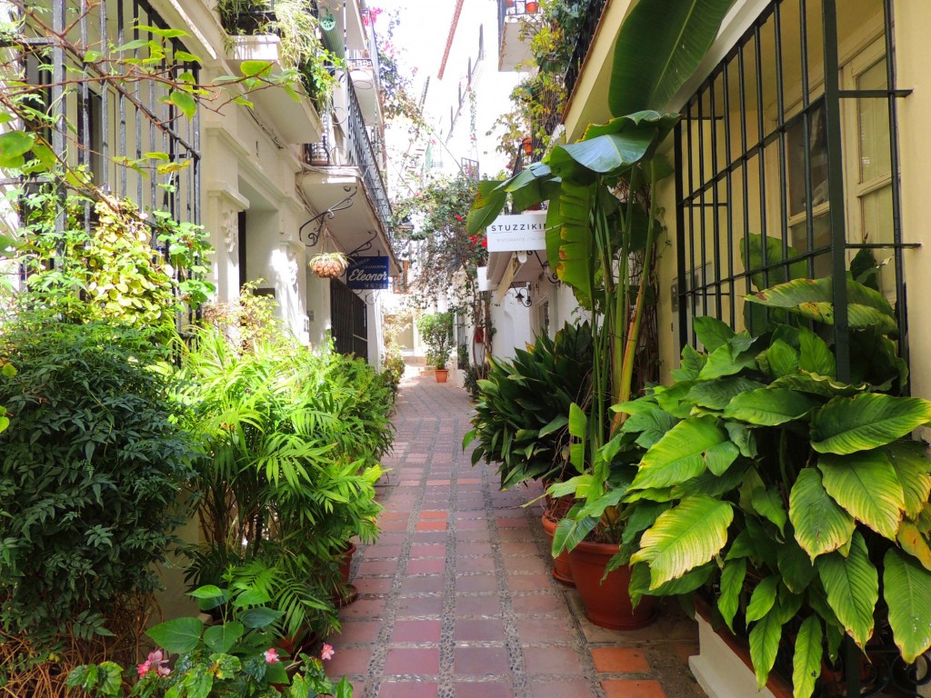 Foto: Calle Alderete - Marbella (Málaga), España