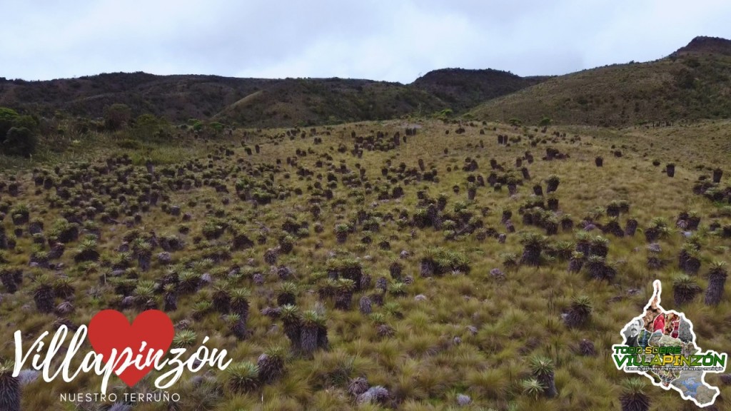 Foto: Laguna del Valle, nacimiento del rio Bogotá de Colombia Villapinzón Cundinamarca desde DRON - Villapinzón Cundinamarca (Cundinamarca), Colombia