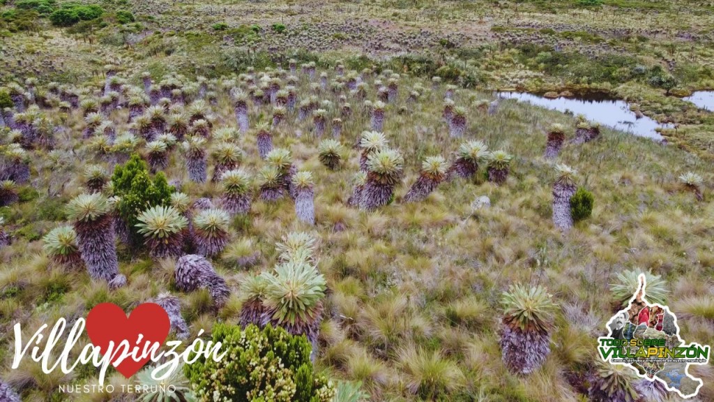 Foto: Laguna del Valle, nacimiento del rio Bogotá de Colombia Villapinzón Cundinamarca desde DRON - Villapinzón Cundinamarca (Cundinamarca), Colombia