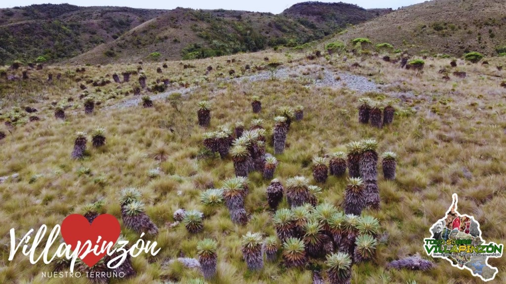 Foto: Laguna del Valle, nacimiento del rio Bogotá de Colombia Villapinzón Cundinamarca desde DRON - Villapinzón Cundinamarca (Cundinamarca), Colombia