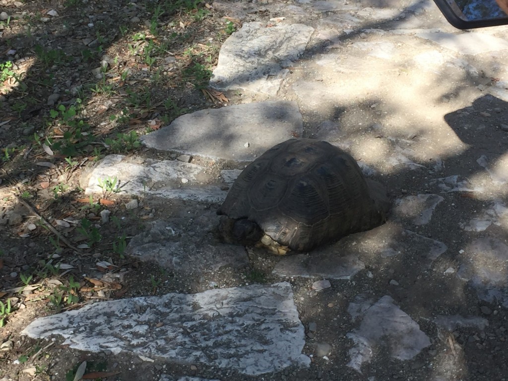 Foto de Atenas, Grecia