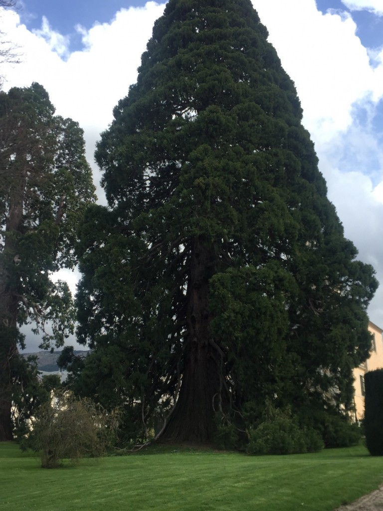 Foto de La Granja (Segovia), España