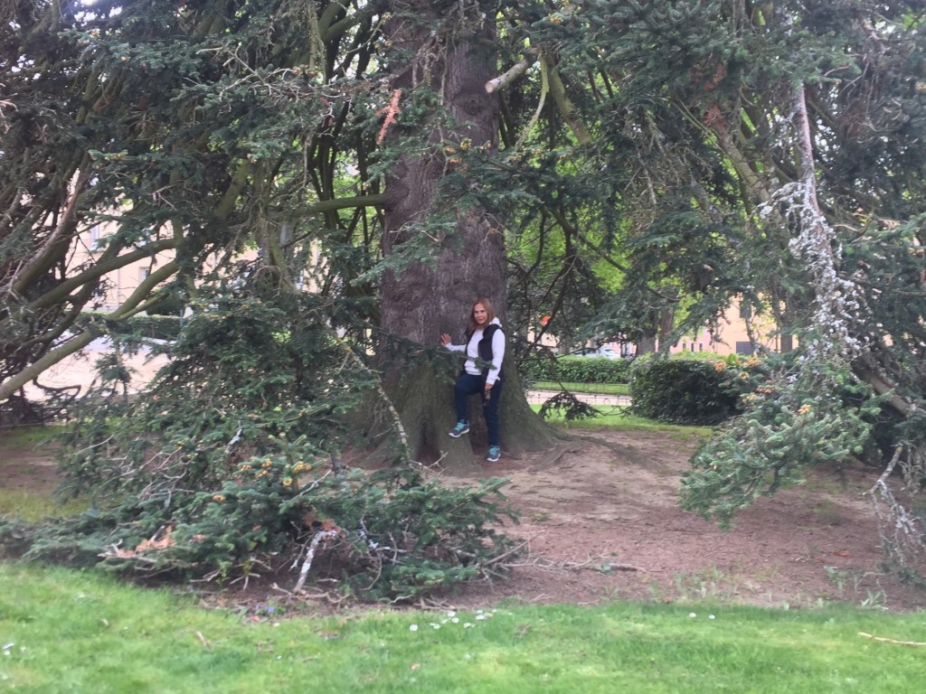 Foto de La Granja (Segovia), España