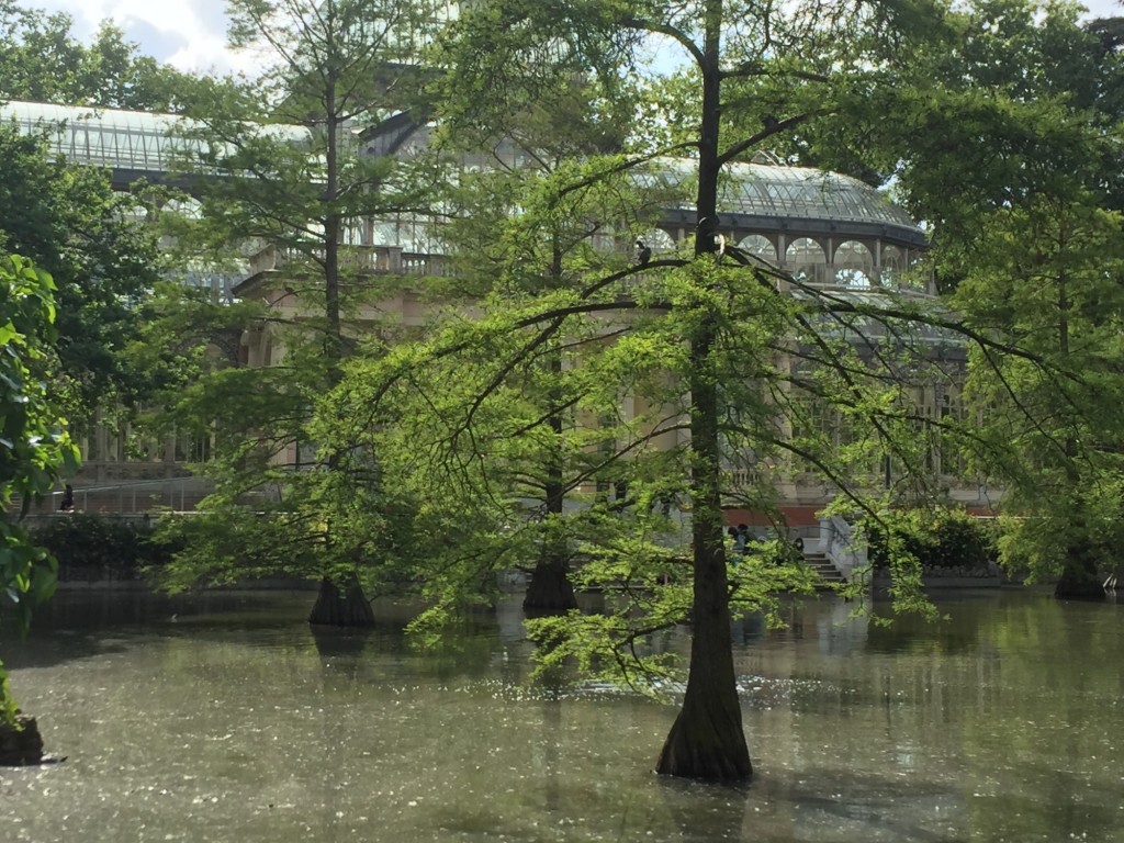 Foto de Madrid (Comunidad de Madrid), España