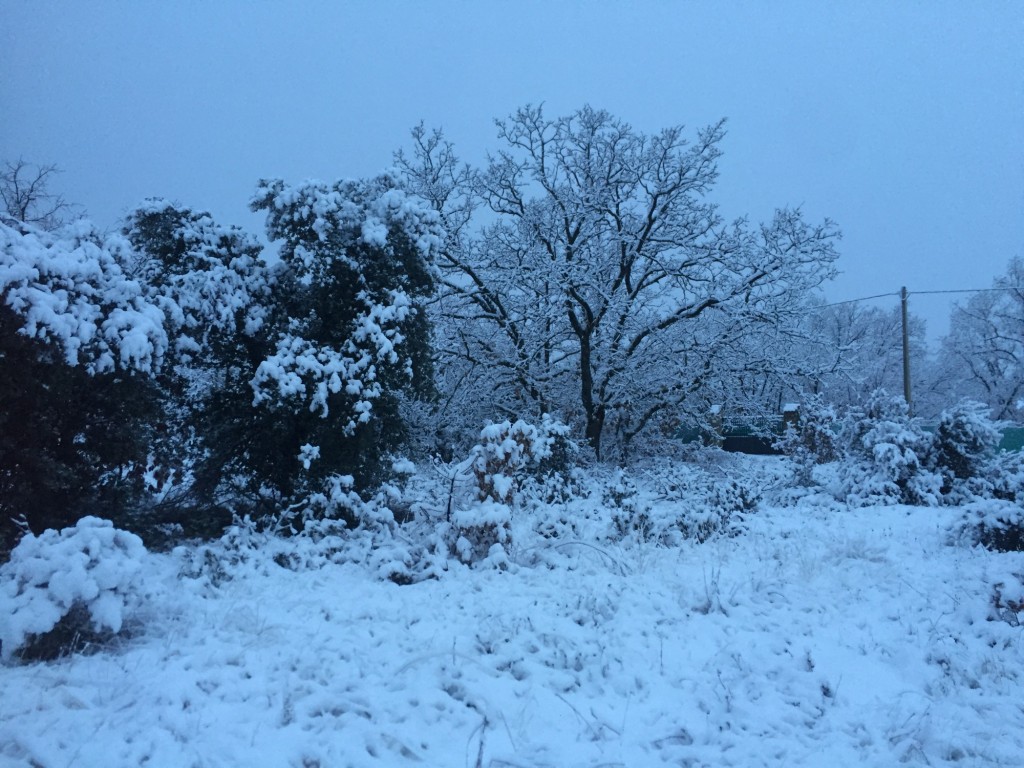 Foto de Fresno  de Cantespino (Segovia), España