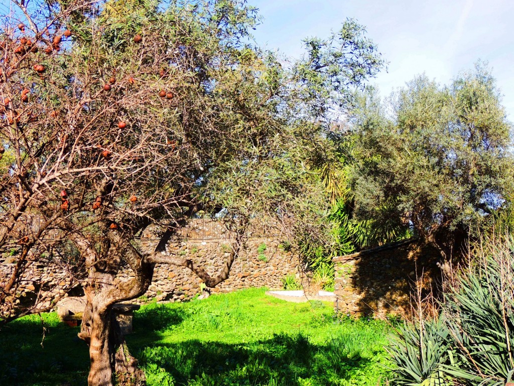 Foto de Granadilla (Cáceres), España