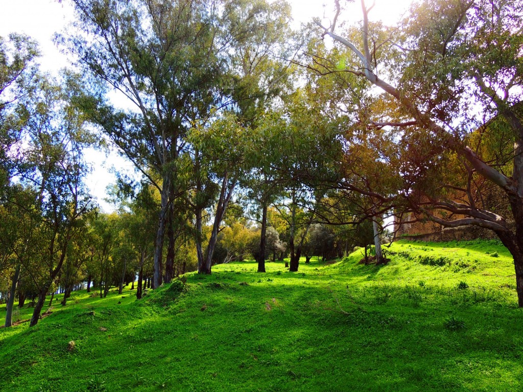 Foto de Granadilla (Cáceres), España