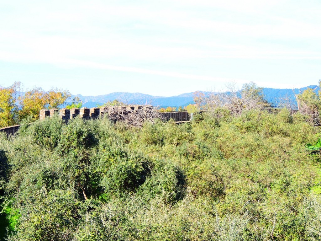 Foto de Granadilla (Cáceres), España