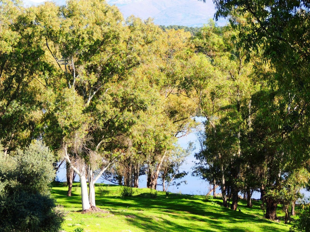 Foto de Granadilla (Cáceres), España