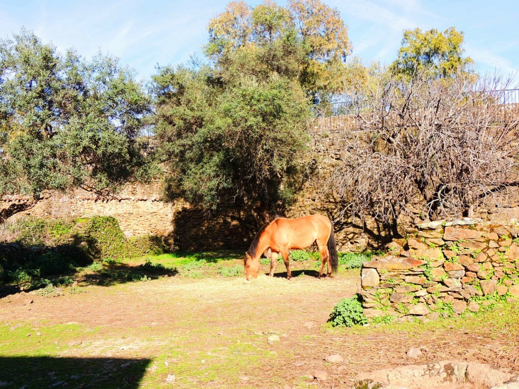 Foto de Granadilla (Cáceres), España