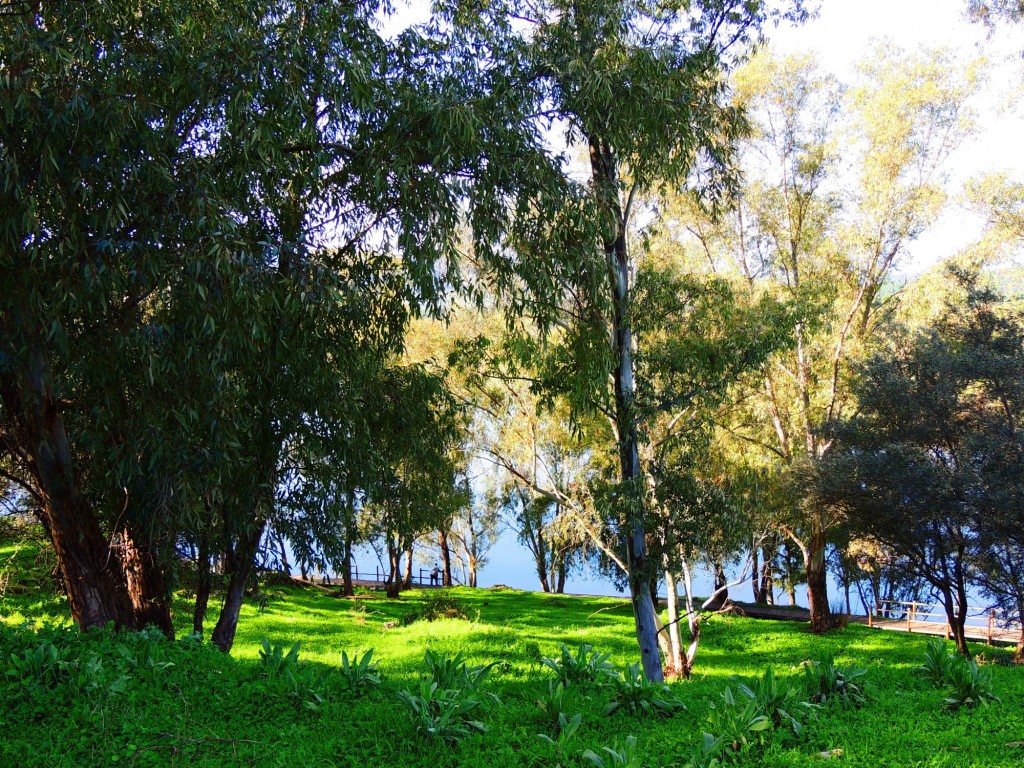 Foto de Granadilla (Cáceres), España