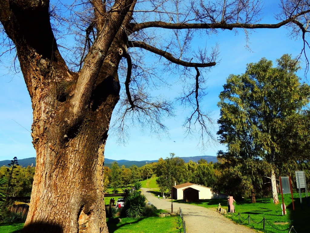 Foto de Granadilla (Cáceres), España