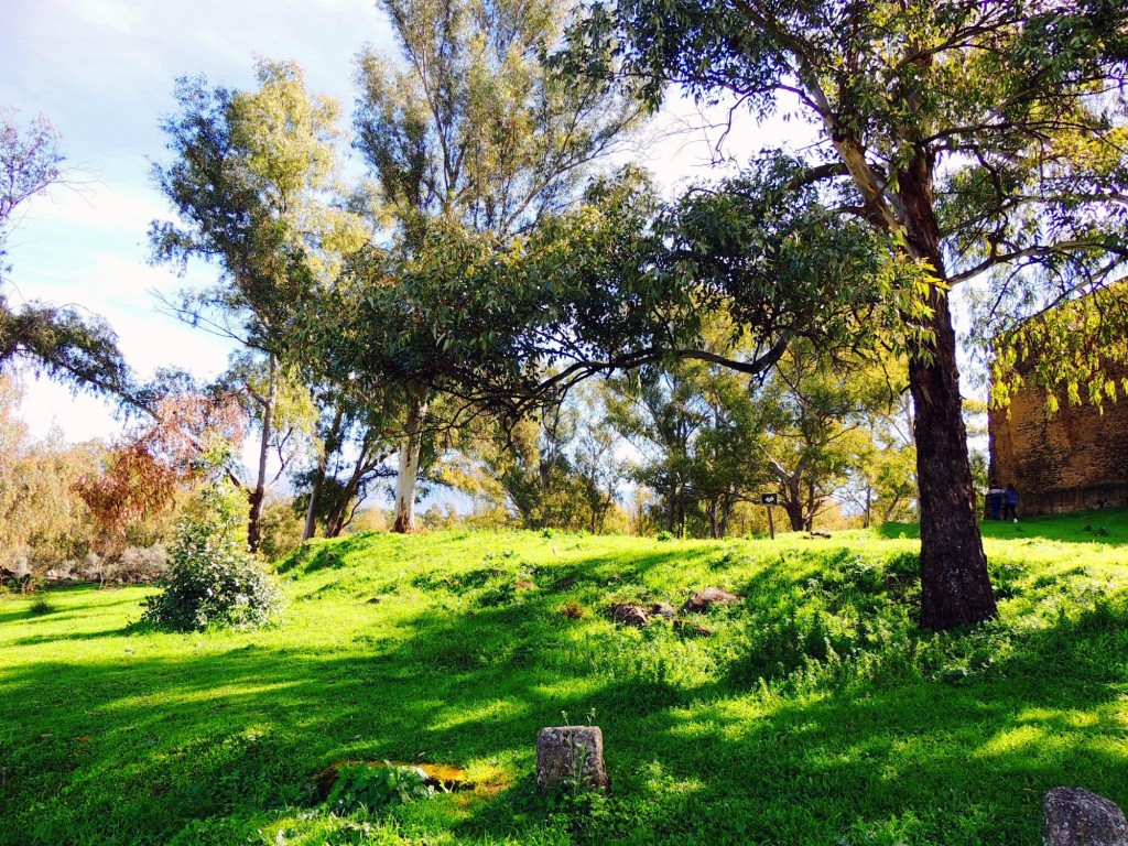 Foto de Granadilla (Cáceres), España