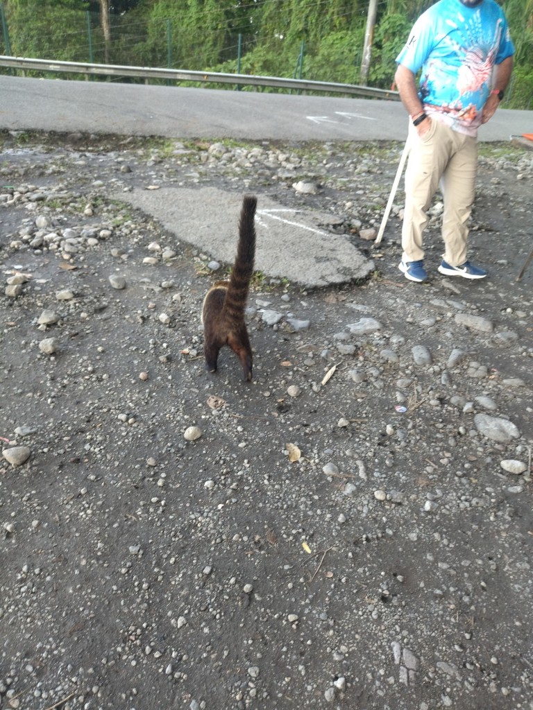 Foto: Naturaleza - Lago arenal (Alajuela), Costa Rica