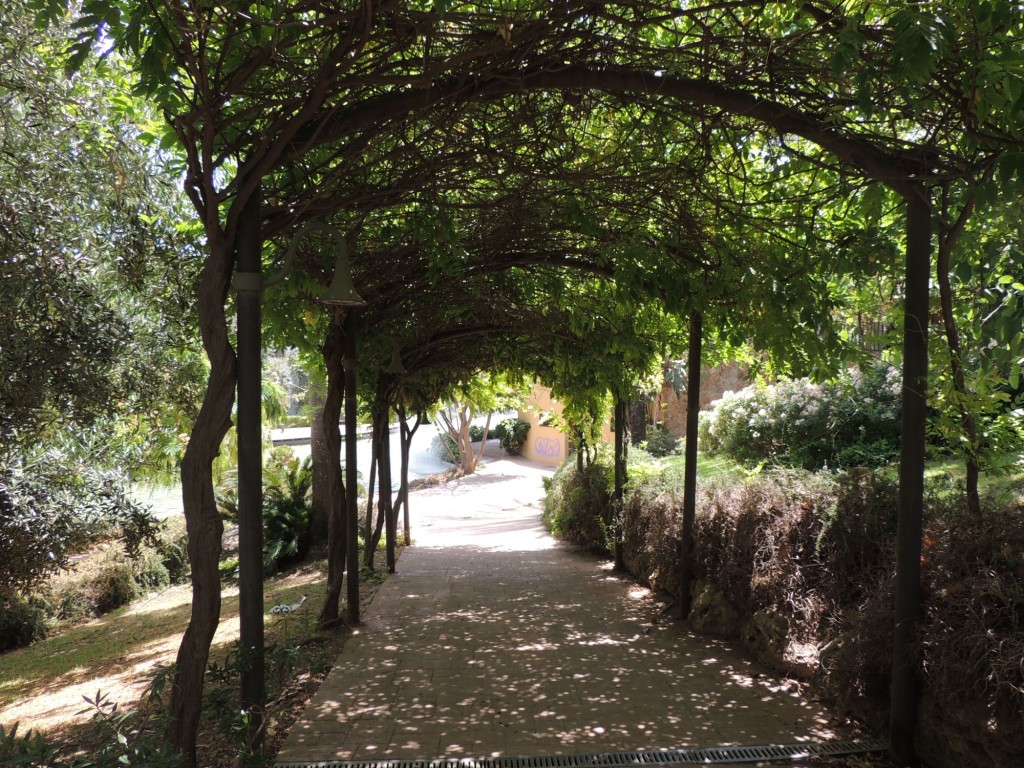 Foto de Estepona (Málaga), España