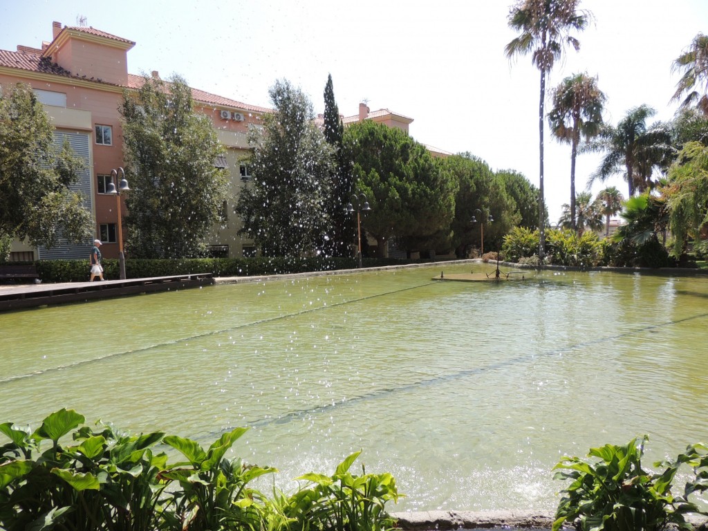 Foto de Estepona (Málaga), España