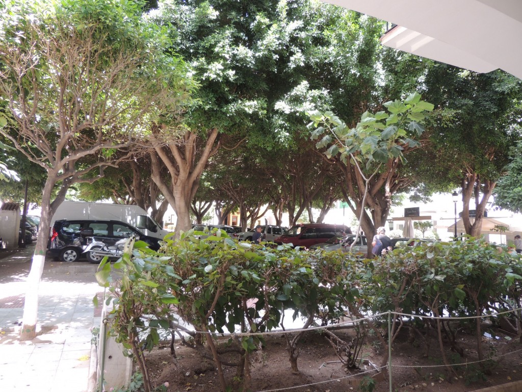 Foto de Estepona (Málaga), España