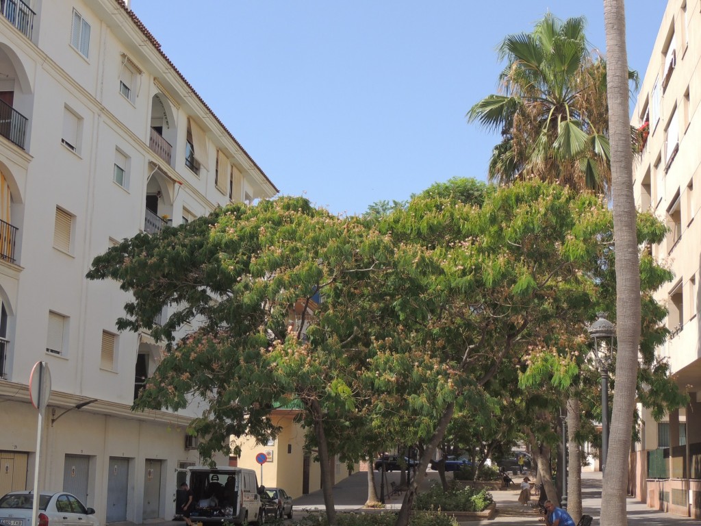 Foto de Estepona (Málaga), España
