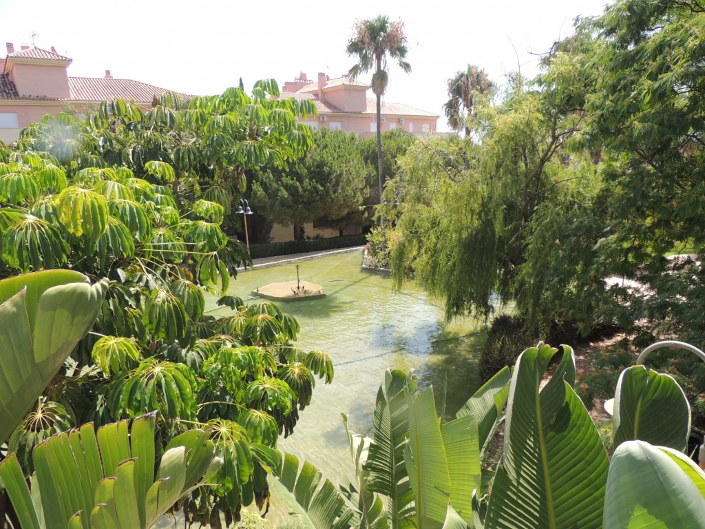 Foto de Estepona (Málaga), España