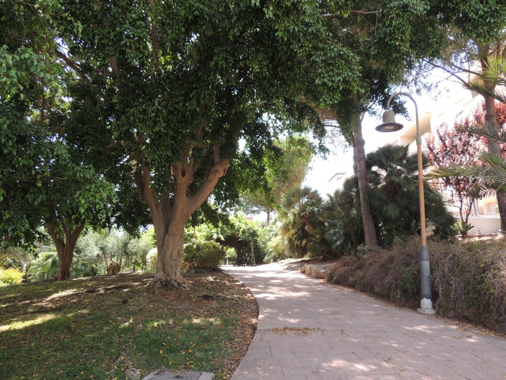 Foto de Estepona (Málaga), España