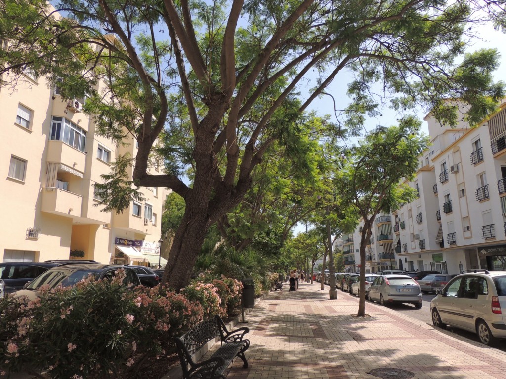 Foto de Estepona (Málaga), España