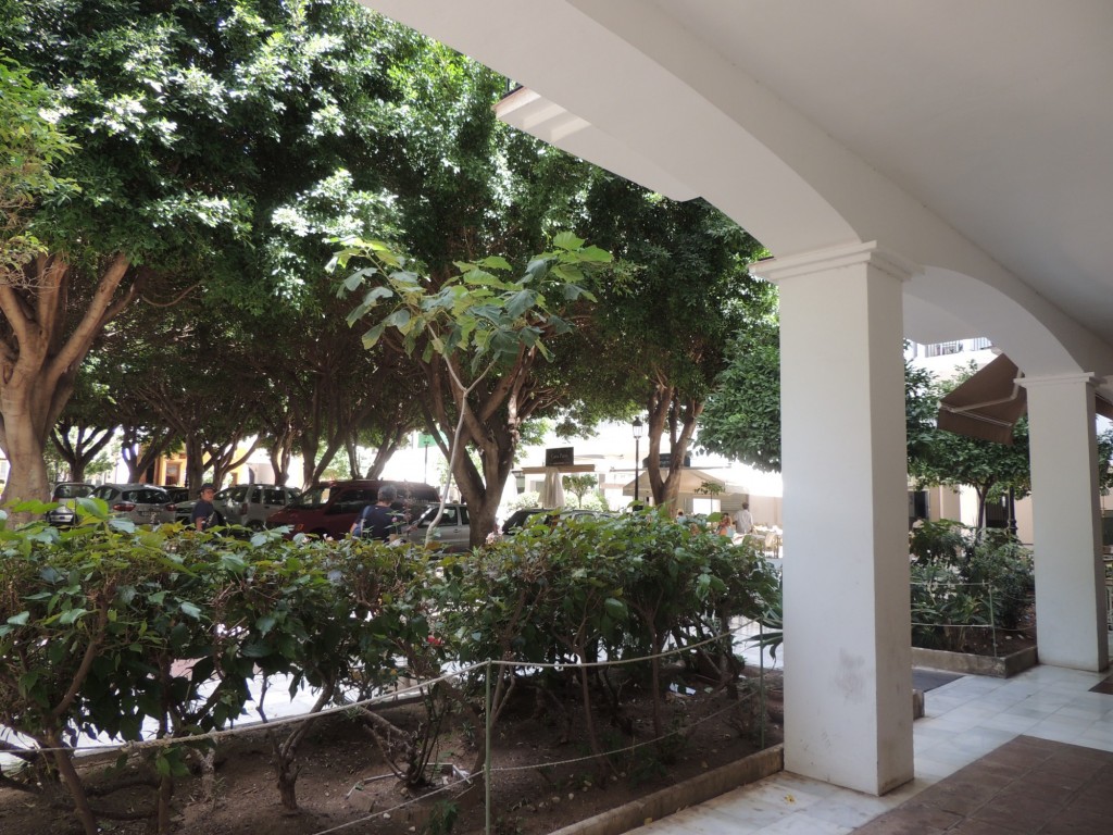 Foto de Estepona (Málaga), España