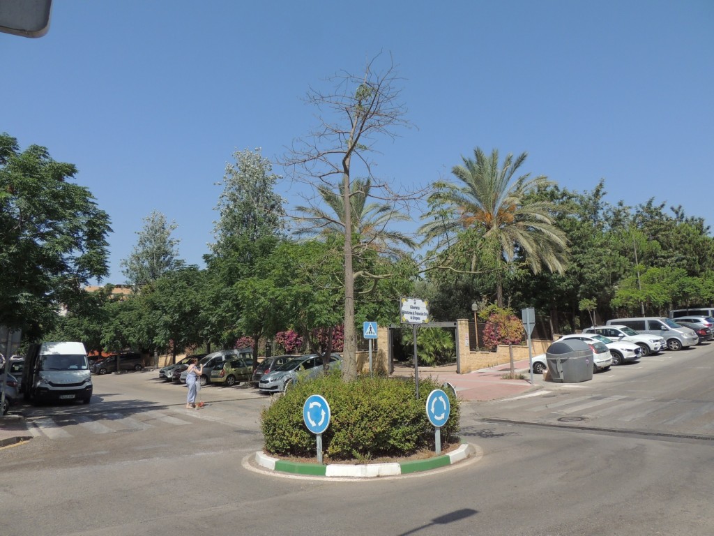 Foto de Estepona (Málaga), España