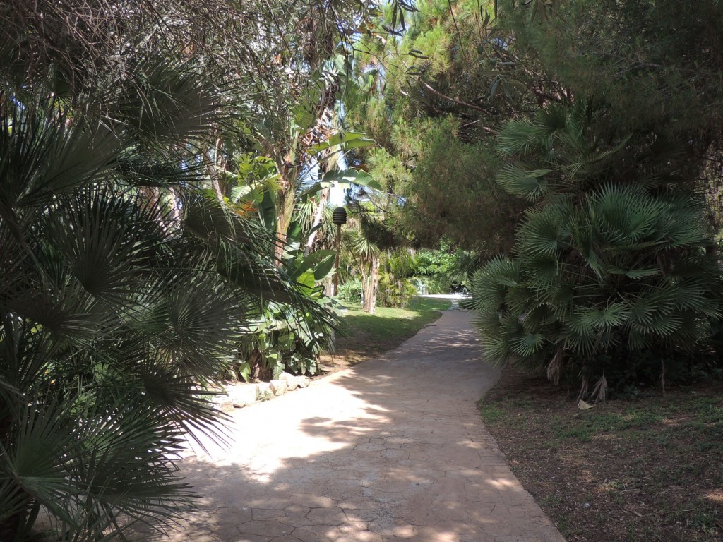 Foto de Estepona (Málaga), España