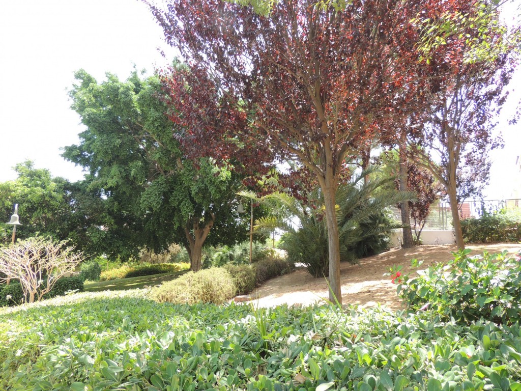 Foto de Estepona (Málaga), España