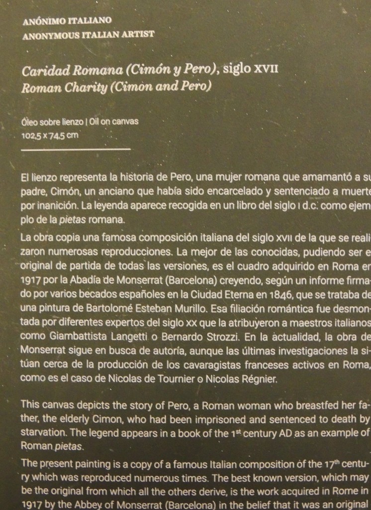 Foto de Segovia (Castilla y León), España