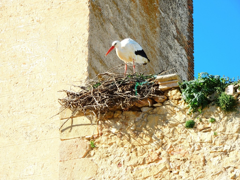 Foto de Pedraza (Segovia), España