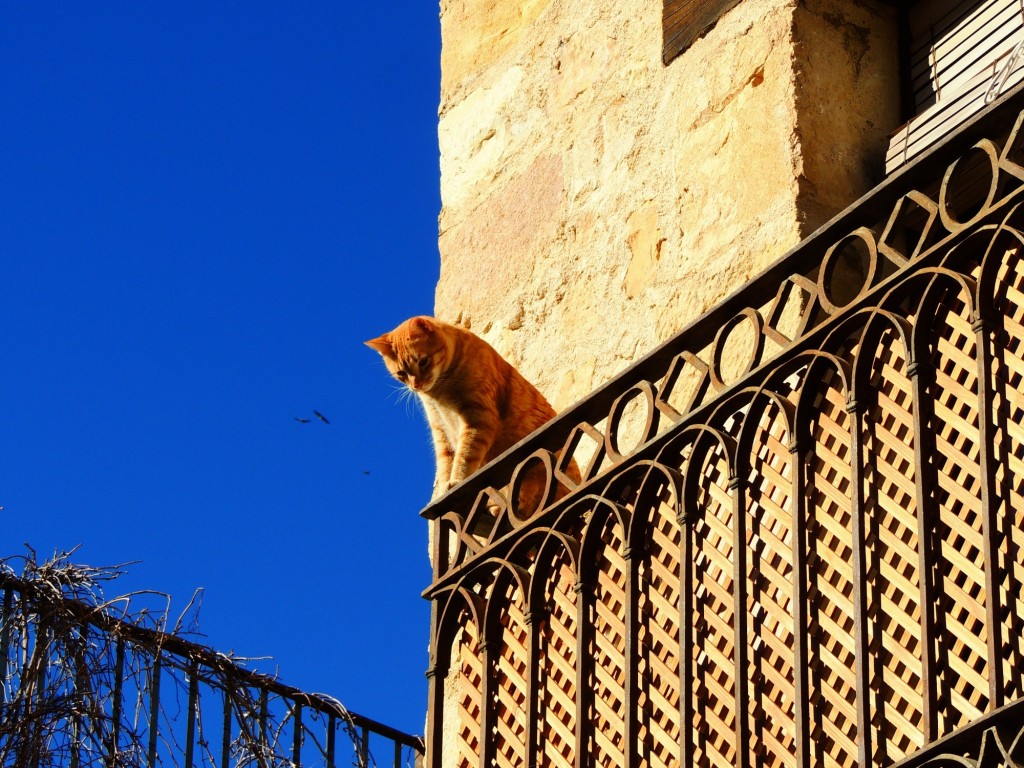 Foto de Pedraza (Segovia), España