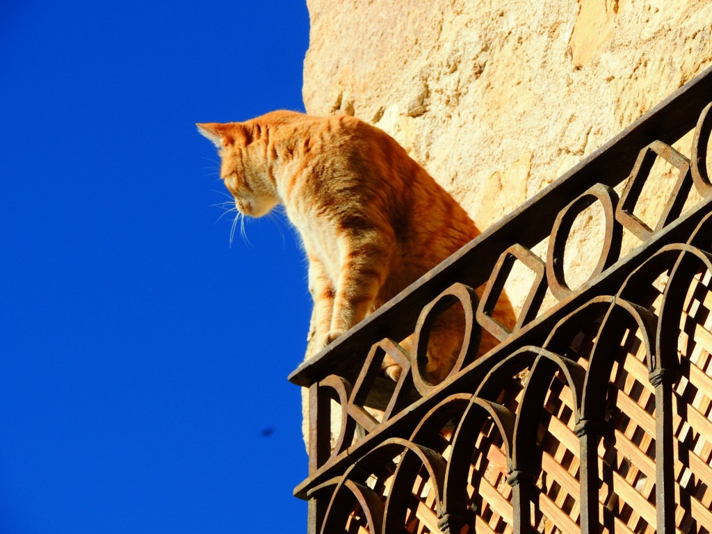 Foto de Pedraza (Segovia), España