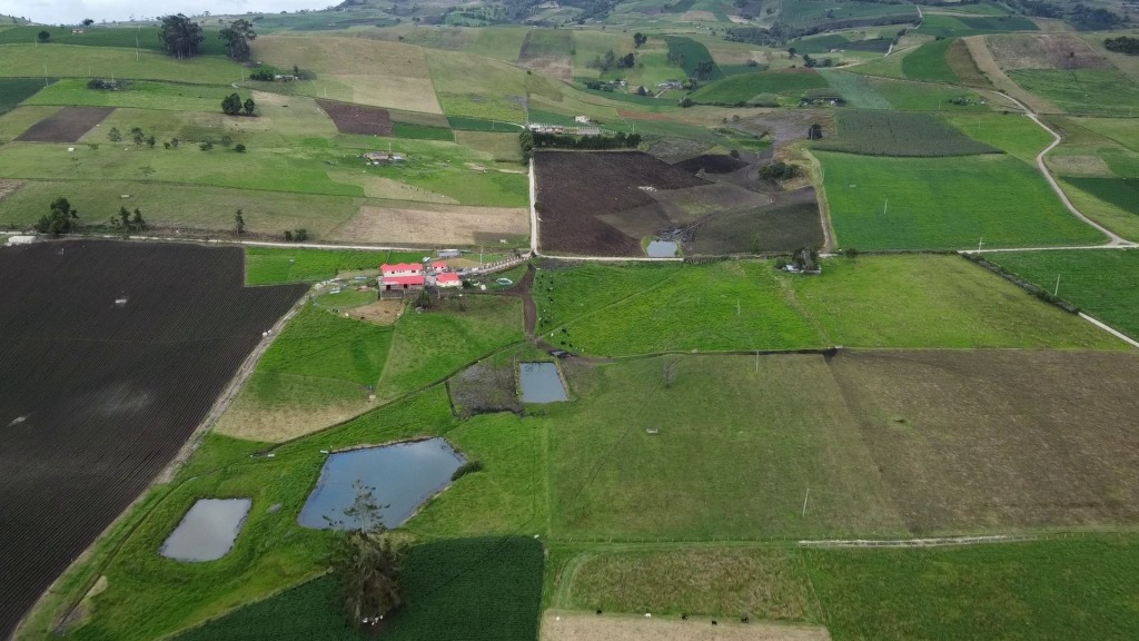 Foto: Verda Bosavita Viillapinzón - Verda Bosavita Viillapinzón (Cundinamarca), Colombia
