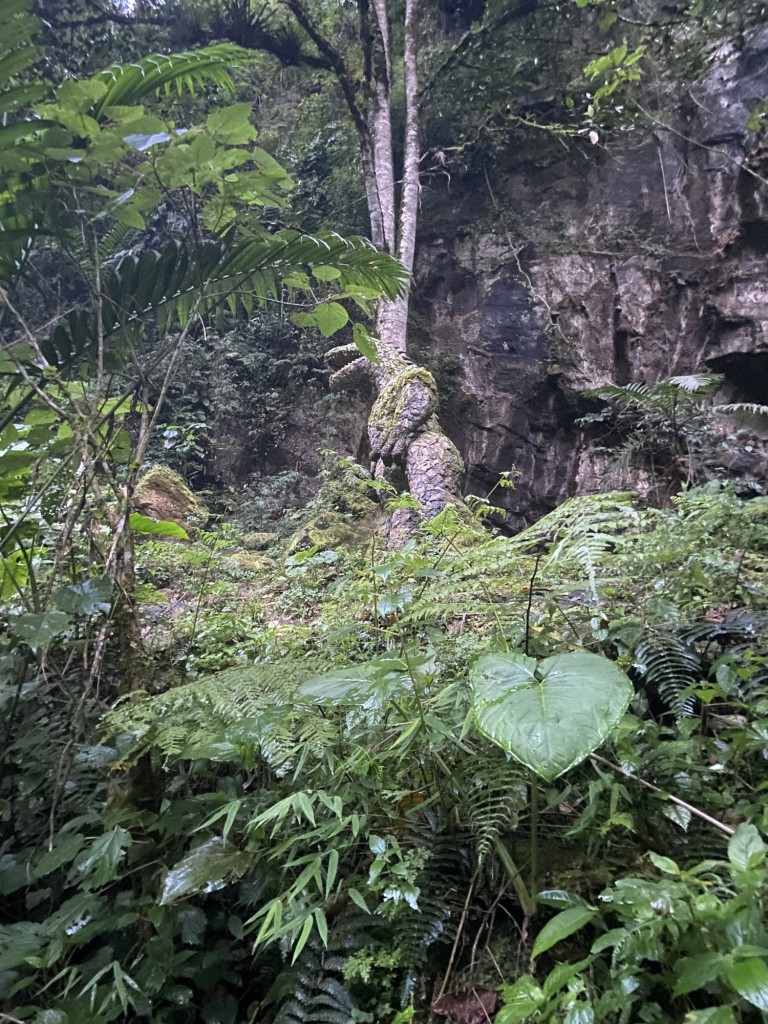 Foto: Ventanas de Tisquizoque - Ventanas de Tisquizoque (Santander), Colombia