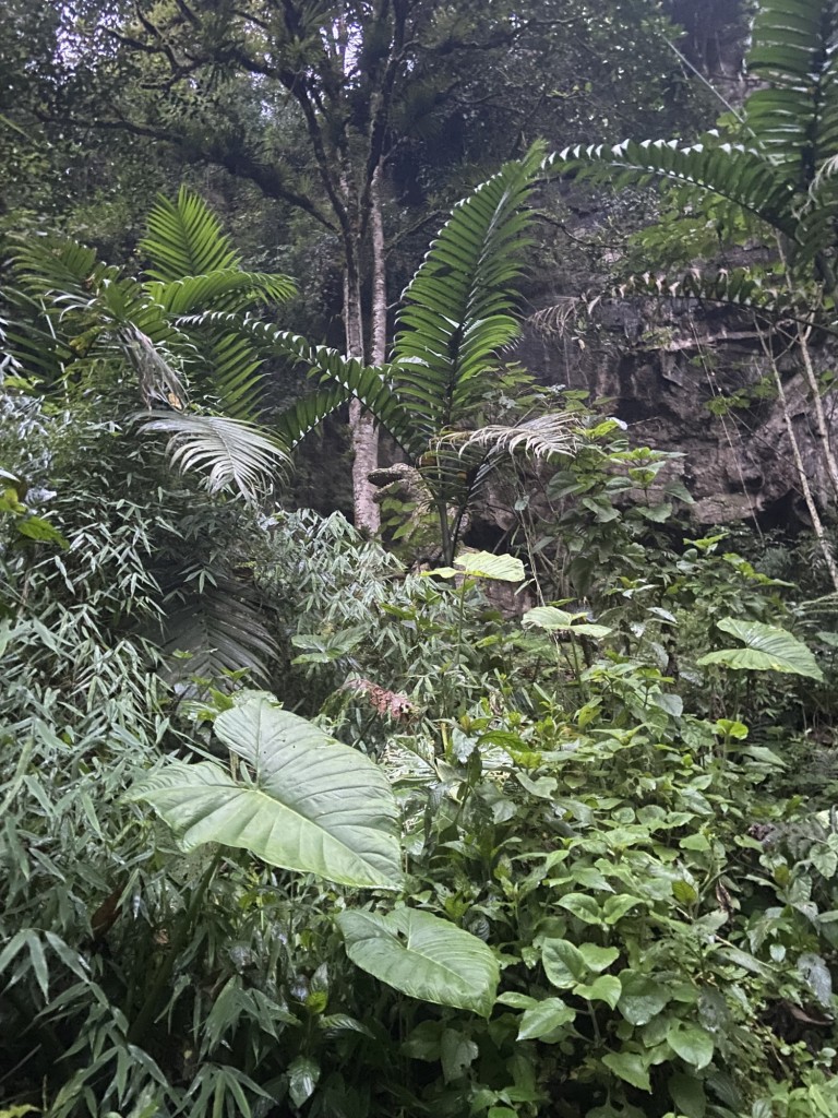 Foto: Ventanas de Tisquizoque - Ventanas de Tisquizoque (Santander), Colombia