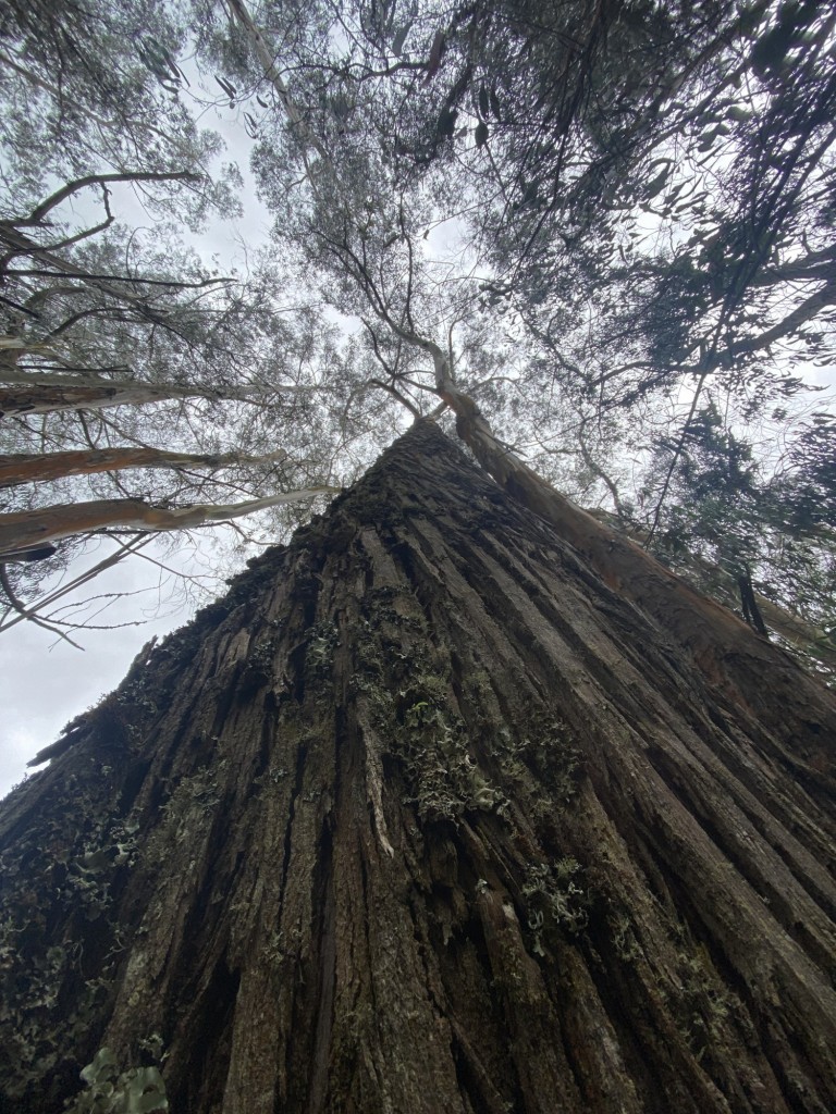 Foto: Turmequé Boyacá - Turmequé Boyacá (Cundinamarca), Colombia